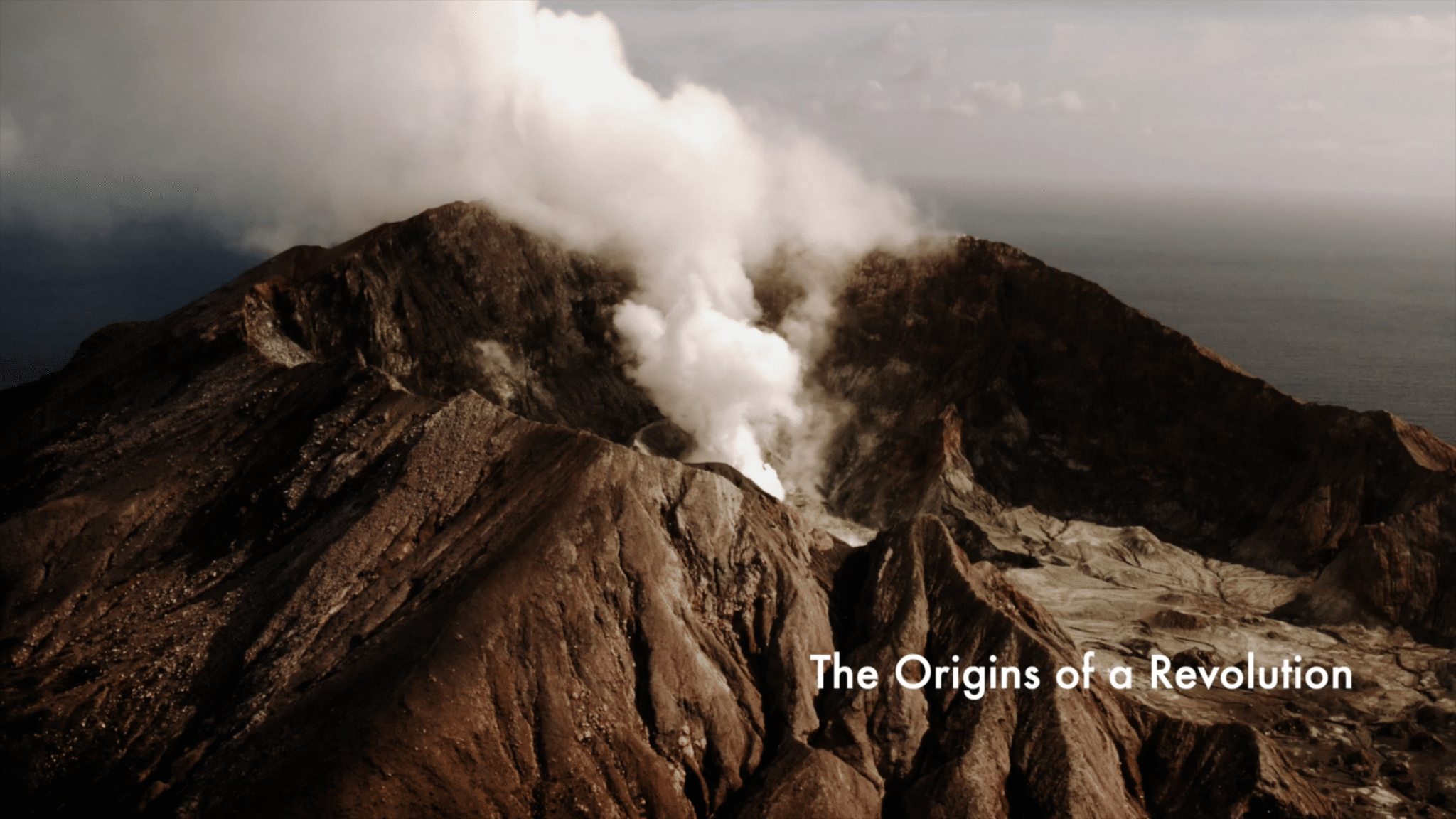 Origins of a Revolution in Manuka Honey industry