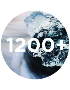 UMF 25+ Lid Label MGO 1200